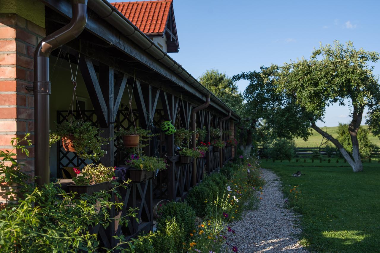 Siedlisko Sabinowo Villa Wegorzewo Exterior photo